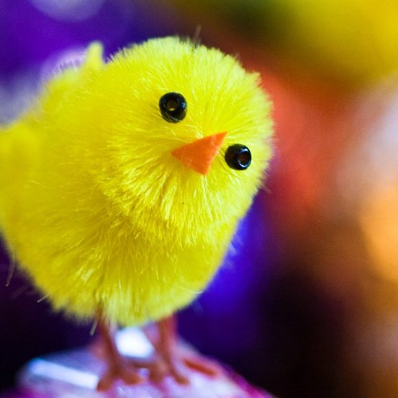 Meet your Posher, Kerry - Picture 3 of 16